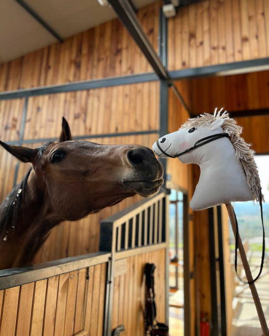 Organik Pamuklu Kumaş Oyuncak Dunga Horse