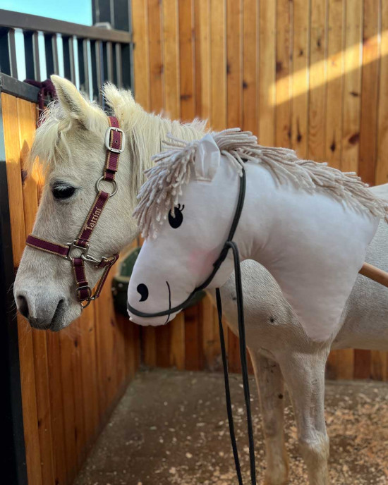 Organik Pamuklu Kumaş Oyuncak Dunga Horse